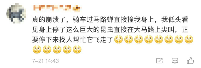 微信图片_20250723154836.jpg 微信图片_20250723154836.jpg