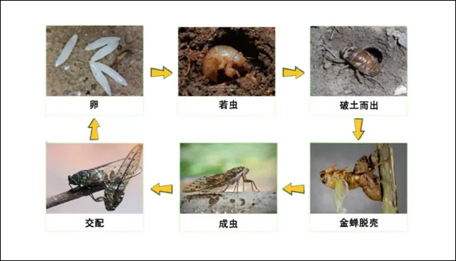微信图片_20250723154946.jpg 微信图片_20250723154946.jpg
