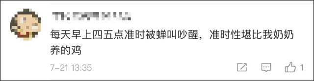 微信图片_20250723154831.jpg 微信图片_20250723154831.jpg