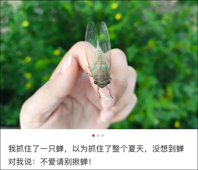 微信图片_20250723154950.jpg 微信图片_20250723154950.jpg