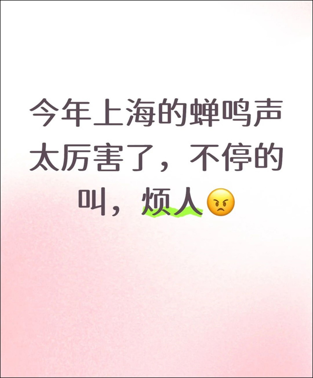 微信图片_20250723154839.jpg 微信图片_20250723154839.jpg