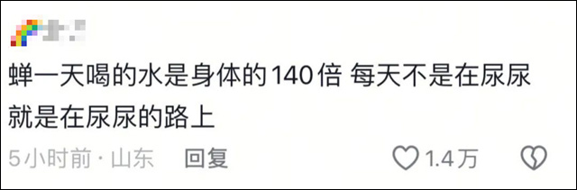 微信图片_20250723154857.jpg 微信图片_20250723154857.jpg