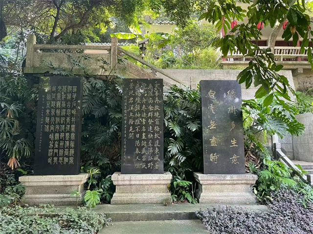 微信图片_2025-08-08_140424_771.jpg 微信图片_2025-08-08_140424_771.jpg