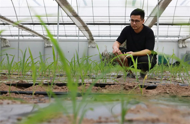 125759_149.jpg 125759_149.jpg