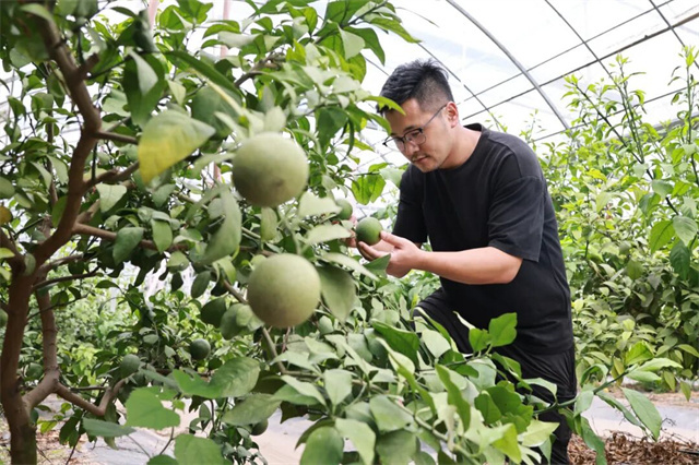 125751_101.jpg 125751_101.jpg