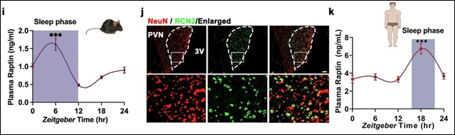 130246_207.jpg 130246_207.jpg