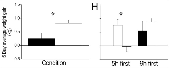 130227_961.jpg 130227_961.jpg