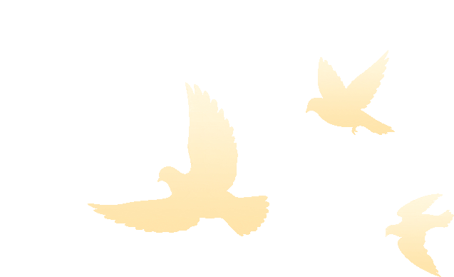 640_compressed.gif 640_compressed.gif