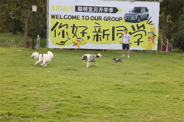 105848_996.jpg 105848_996.jpg