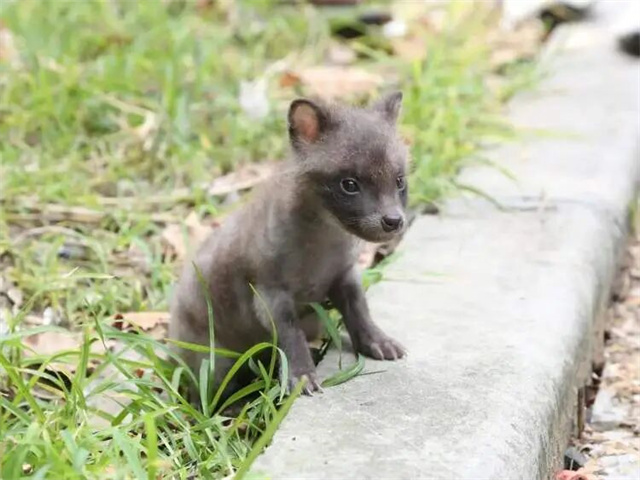 143350_486.jpg 143350_486.jpg