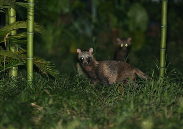 143322_206.jpg 143322_206.jpg