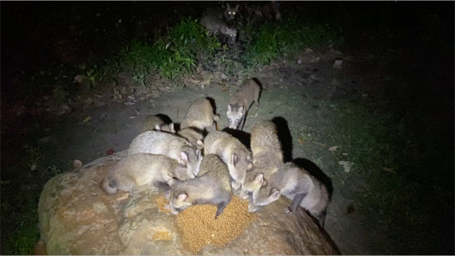 143315_831.jpg 143315_831.jpg