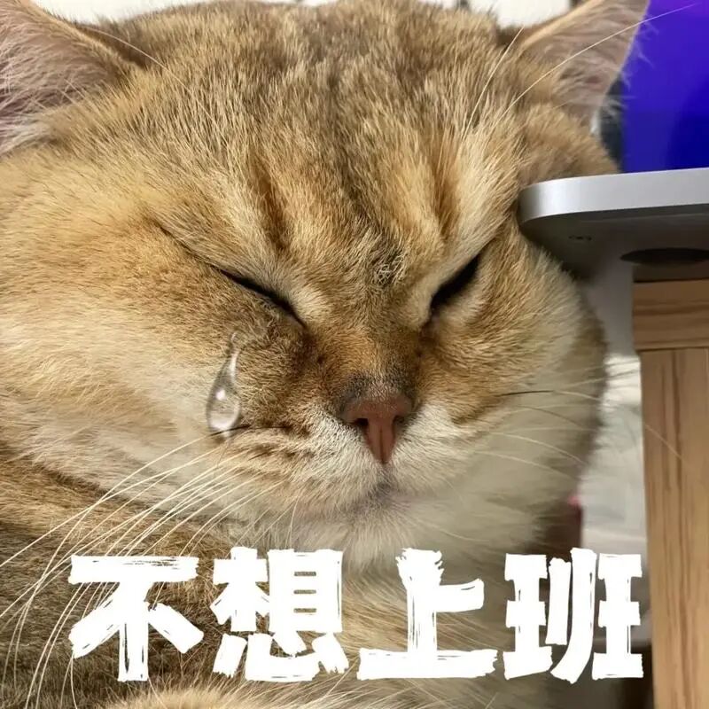 134751_688.jpg 134751_688.jpg