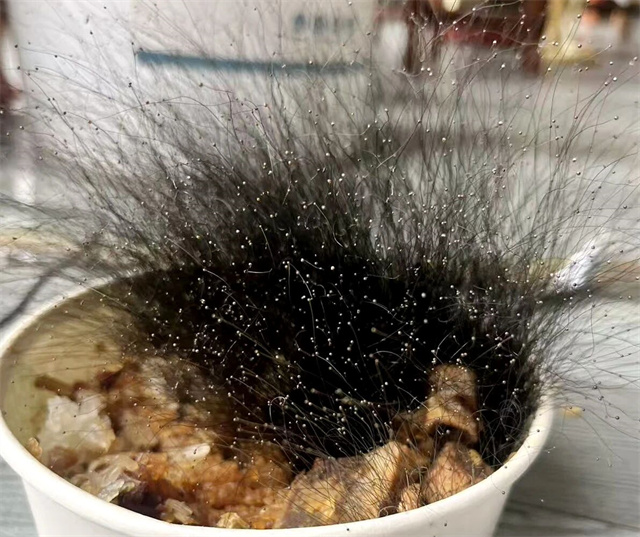 133121_705.jpg 133121_705.jpg