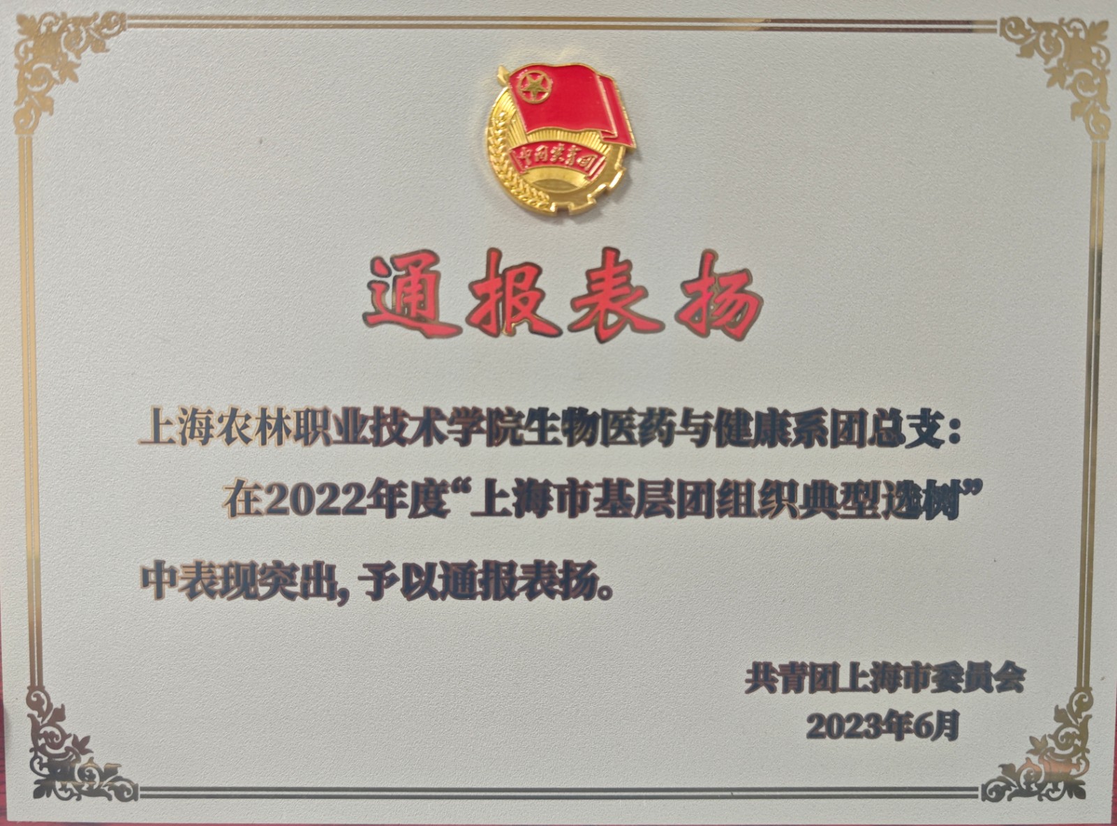 a94ff4f9-6990-4ab0-bd64-f8cee0b3cd4c_d.jpg