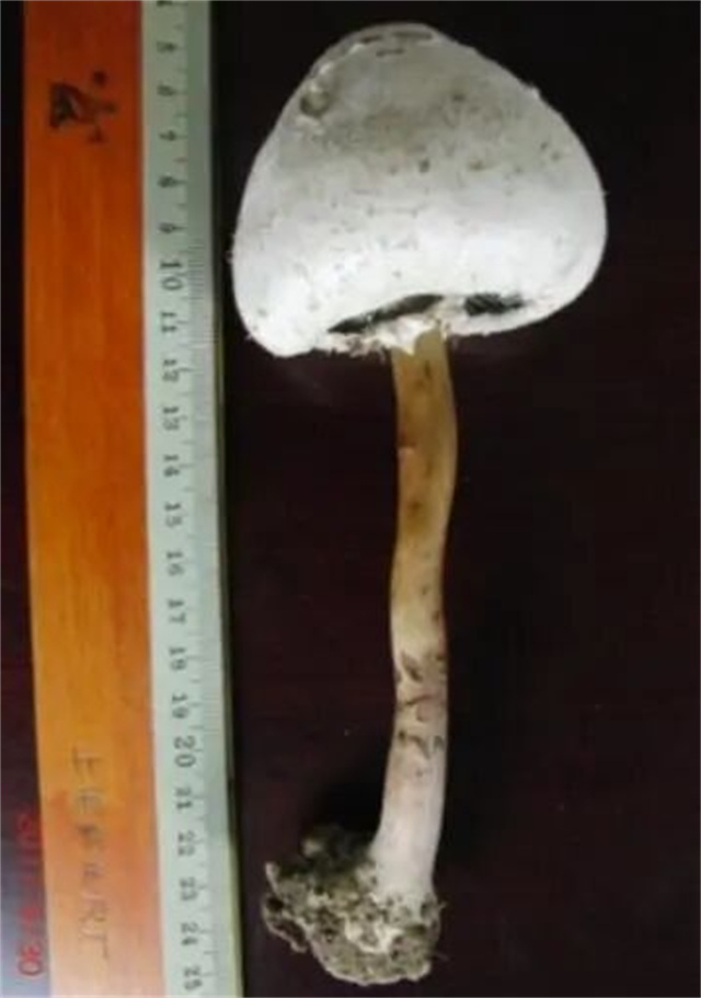 175227_344.jpg
