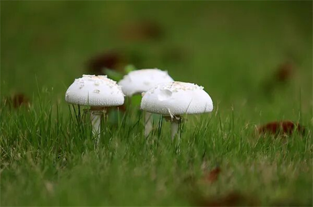 175155_171.jpg
