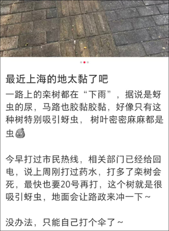 98761769-299b-4bc1-acdc-2211eceddcd3.jpg 98761769-299b-4bc1-acdc-2211eceddcd3.jpg