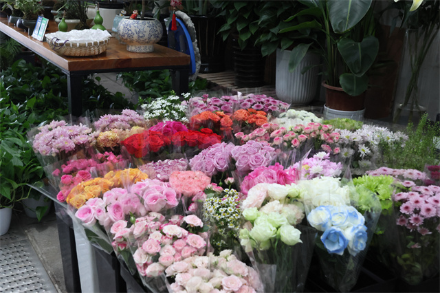 a70ee29d-5a2d-49dc-9dc7-796e5f2b4d1d.jpg