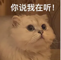 2e99290b-b6e5-468c-bc82-afcbf6519069.png