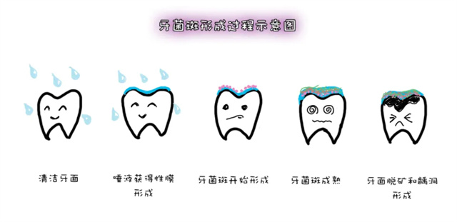 6dcce946-0c56-4576-9143-2354a01f844a.jpg