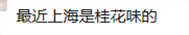 21b0f629-4e61-40ef-b57f-b6cd832fdd9f.jpg 21b0f629-4e61-40ef-b57f-b6cd832fdd9f.jpg