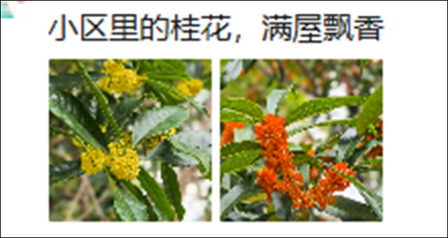 75a30f16-6edd-4ec3-b5f1-271e483df432.jpg 75a30f16-6edd-4ec3-b5f1-271e483df432.jpg