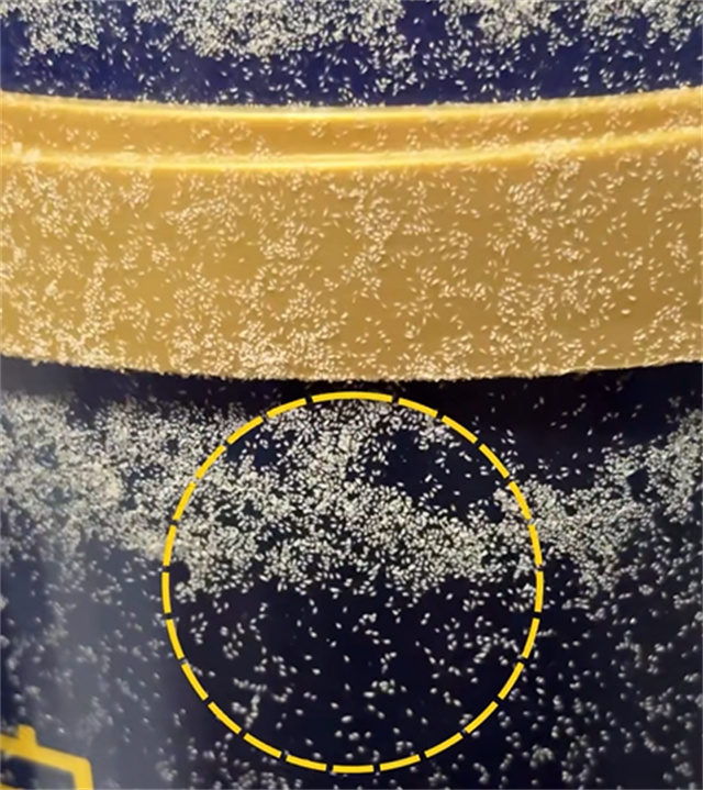 a7c77ae6-1557-49c1-8596-6b7c8056d78b.jpg