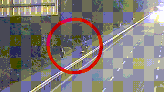 微信图片_20240404124643.gif 微信图片_20240404124643.gif