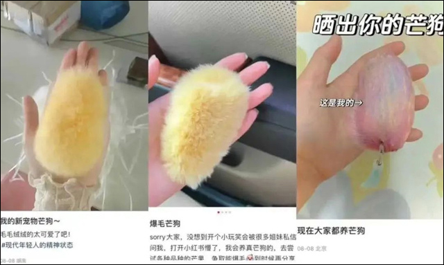 微信图片_20230829152633_3.jpg 微信图片_20230829152633_3.jpg