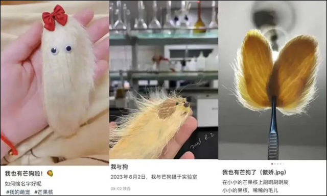 微信图片_20230829152633_4.jpg 微信图片_20230829152633_4.jpg