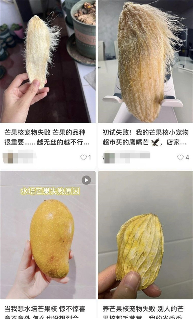 微信图片_20230829152633_6.jpg 微信图片_20230829152633_6.jpg
