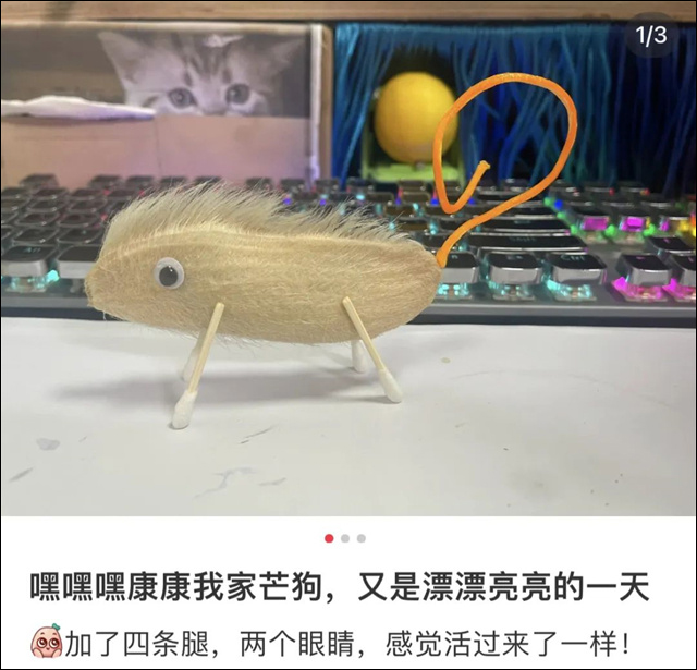微信图片_20230829152634_1.jpg 微信图片_20230829152634_1.jpg