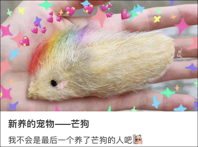微信图片_20230829152634_2.jpg 微信图片_20230829152634_2.jpg