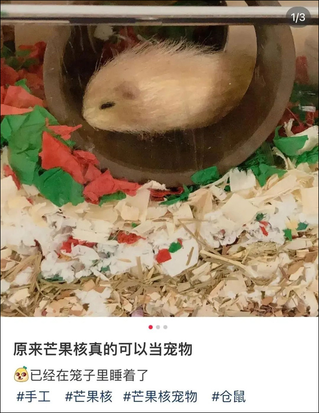 微信图片_20230829152634_3.jpg 微信图片_20230829152634_3.jpg