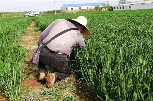 微信图片_20240628153807.jpg 微信图片_20240628153807.jpg
