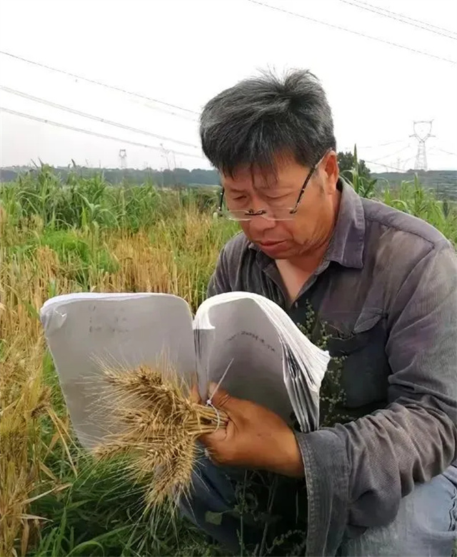 微信图片_20240628153809.jpg 微信图片_20240628153809.jpg