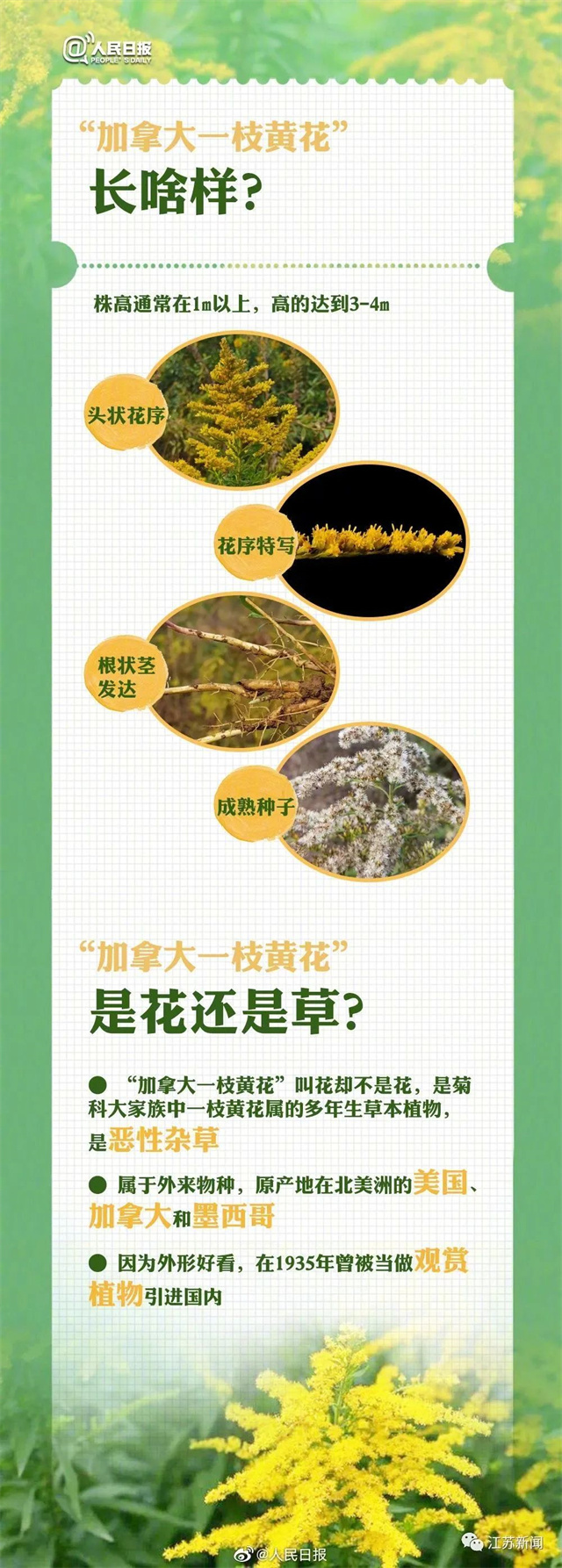 微信图片_20231101132813.jpg