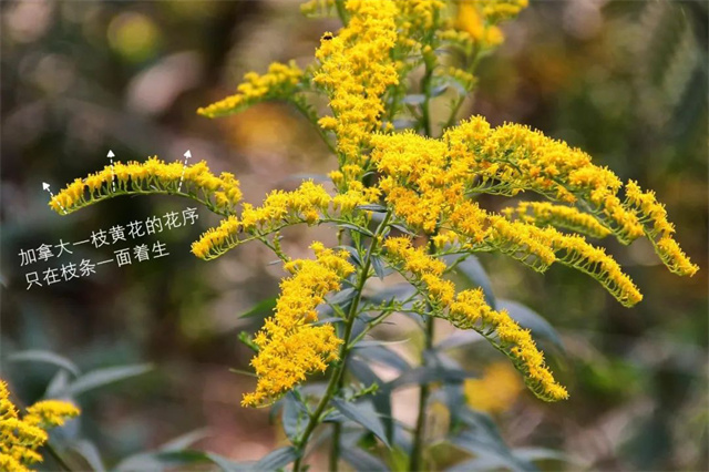 微信图片_20231101133515.jpg