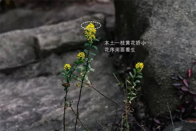 微信图片_20231101133518.jpg
