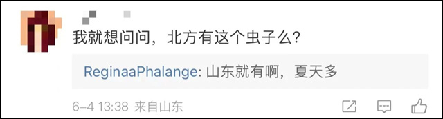 微信图片_20230610150026.jpg 微信图片_20230610150026.jpg