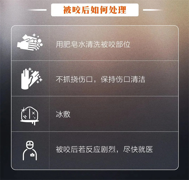微信图片_20240518140511.jpg 微信图片_20240518140511.jpg