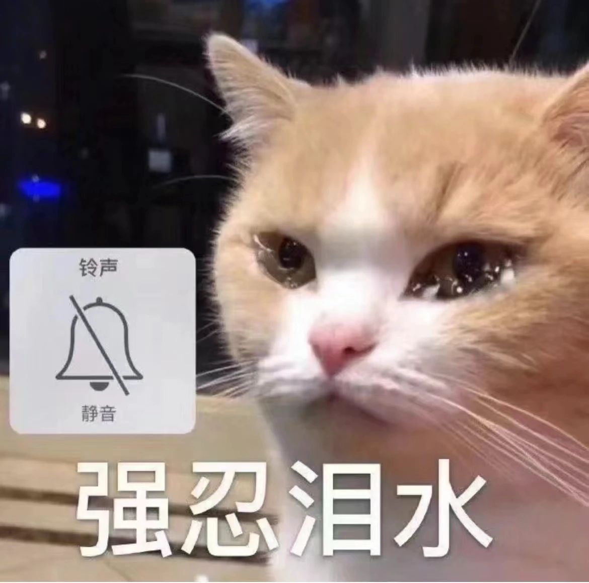 微信图片_20240416152803.jpg 微信图片_20240416152803.jpg