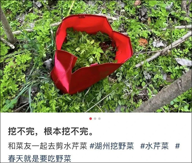 微信图片_20240313135044.jpg 微信图片_20240313135044.jpg