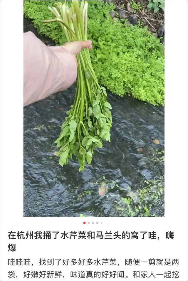 微信图片_20240313135047.jpg 微信图片_20240313135047.jpg