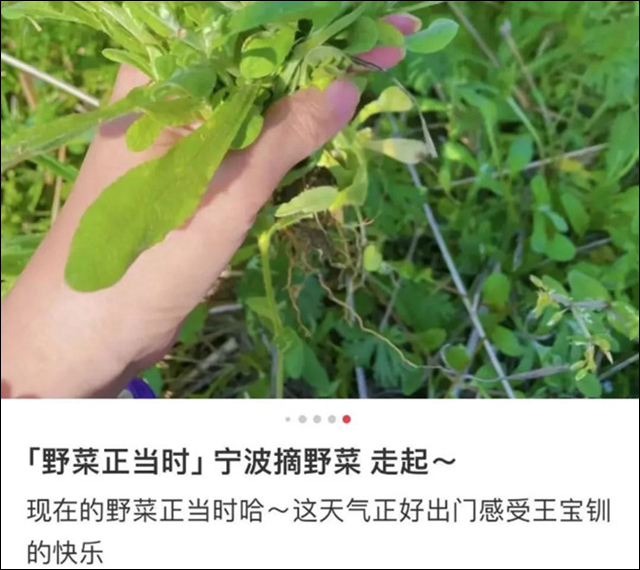 微信图片_20240313135049.jpg 微信图片_20240313135049.jpg