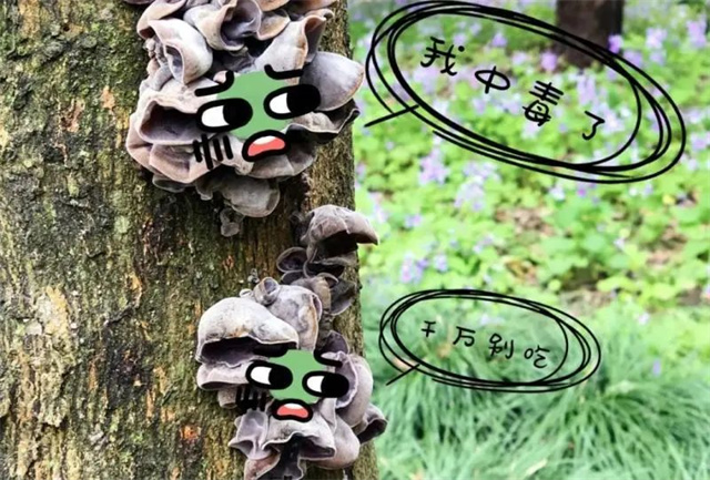 微信图片_20240313135102.jpg 微信图片_20240313135102.jpg