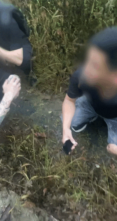 微信图片_20240618143543.gif 微信图片_20240618143543.gif