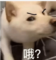 微信图片_20240712141608.png 微信图片_20240712141608.png