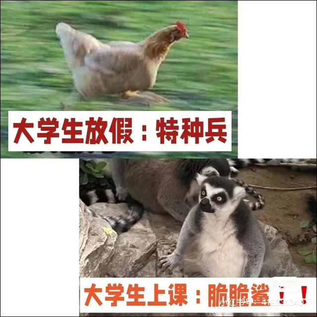 微信图片_20231013104818.jpg